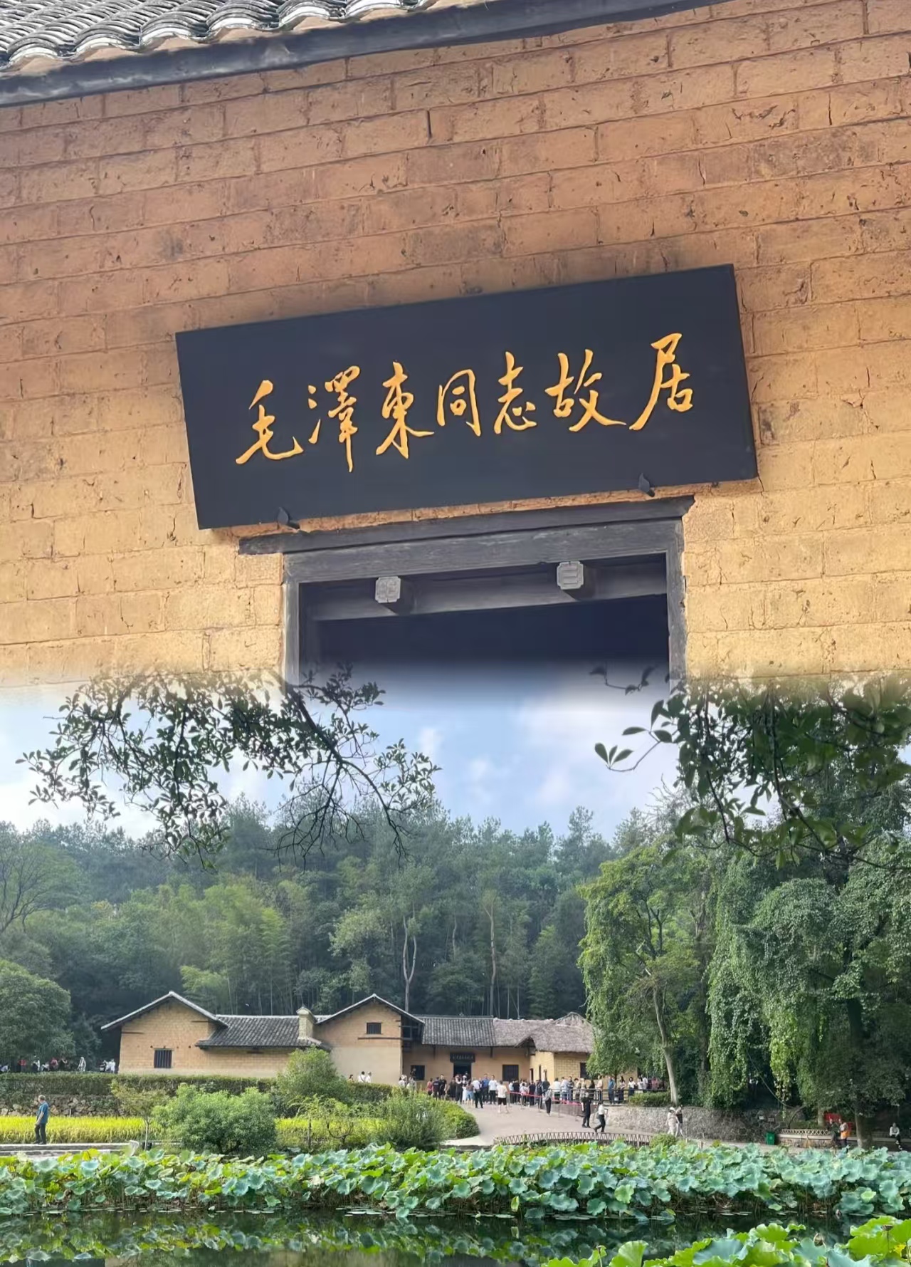25051412434691848.jpg
